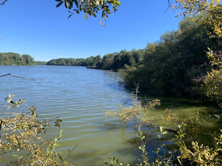 Photo de Les visites guidées de la Réserve Naturelle de l&rsquo;Etang Noir