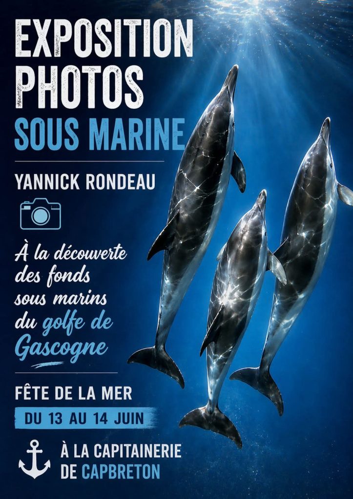 Photo de Exposition photos sous marine Yannick Rondeau