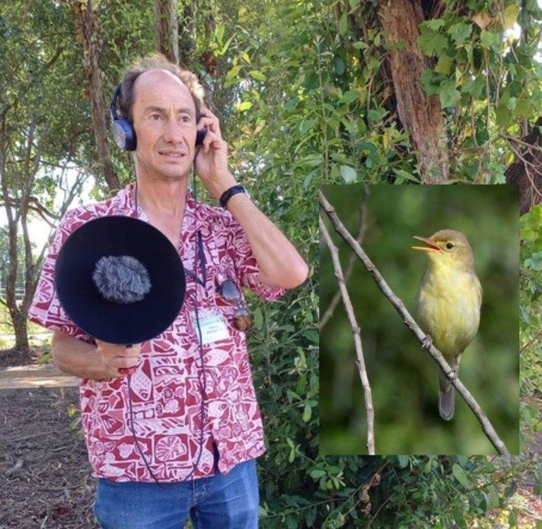 Photo de Les chants d&rsquo;oiseaux des Barthes