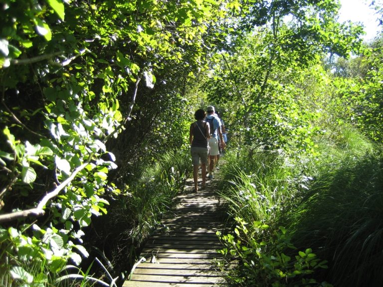 Photo de Les visites guidées de la Réserve Naturelle de l&rsquo;Etang Noir