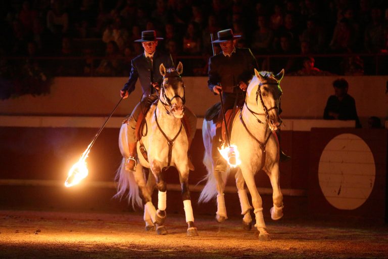 Photo de Spectacle Landes Emotions